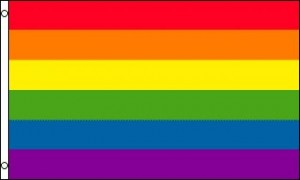 regnbagsflagga-pride-459-f1